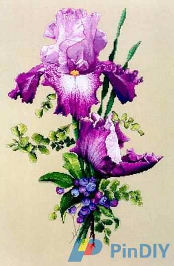SL088 Purple Perfection.JPG