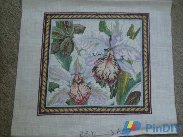 49. Tapestry Orchid.JPG