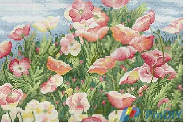 DMC BK210 Poppy field.jpg