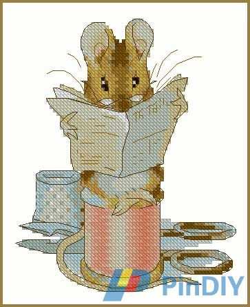 PINN_BP-C01_Little_Tailor.jpg