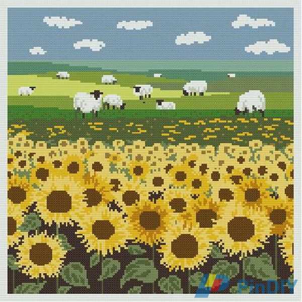 OOE 76408 Garden sunflowers.JPG