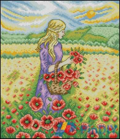 Field of dreams.jpg