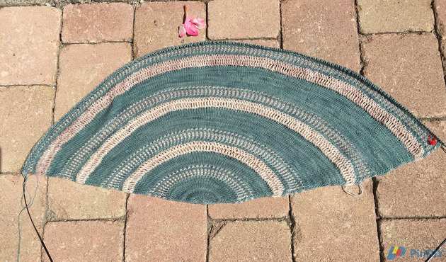 IMG_3590.JPG