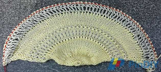 20170803_152736_resized_medium2.jpg