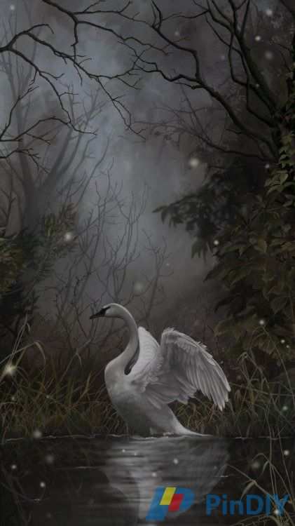 wings in repose.jpg