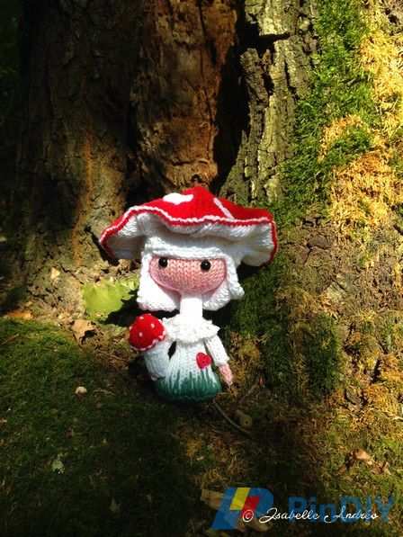 amanita-signé.jpg