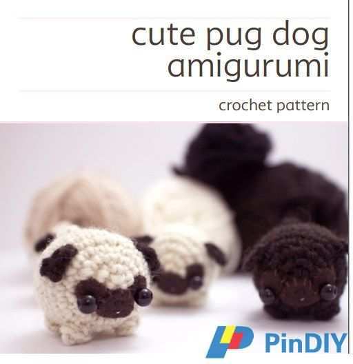 pug.jpg