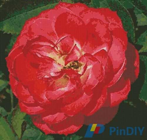 Artecy - red camelia.jpg