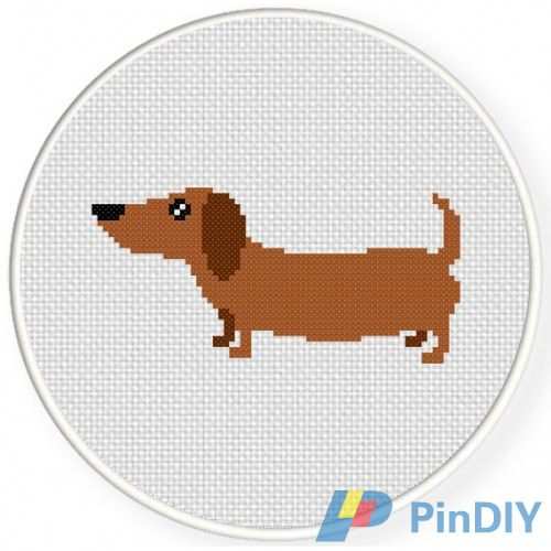 Dachshund.jpg