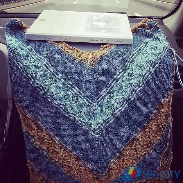 Blooming Cactus Shawl2.jpg
