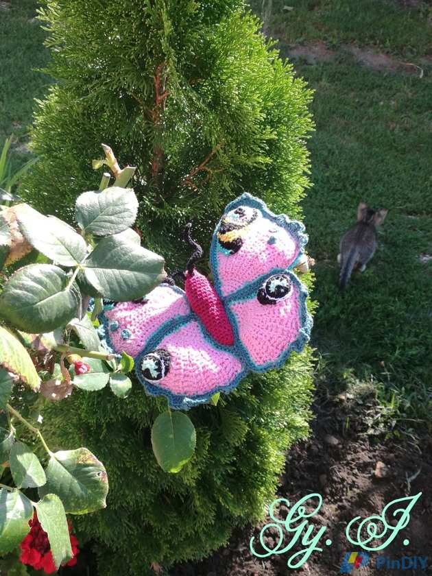 Butterfly 