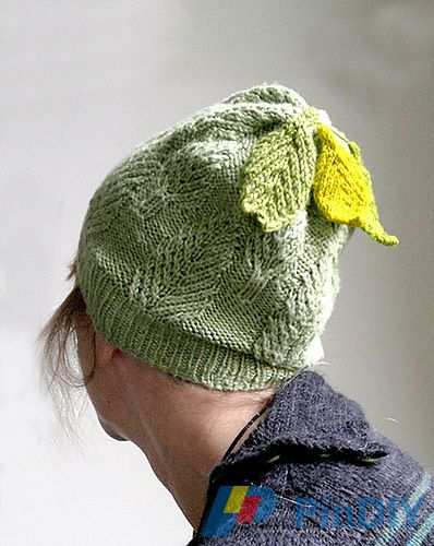 hat___leaves-_medium.jpg