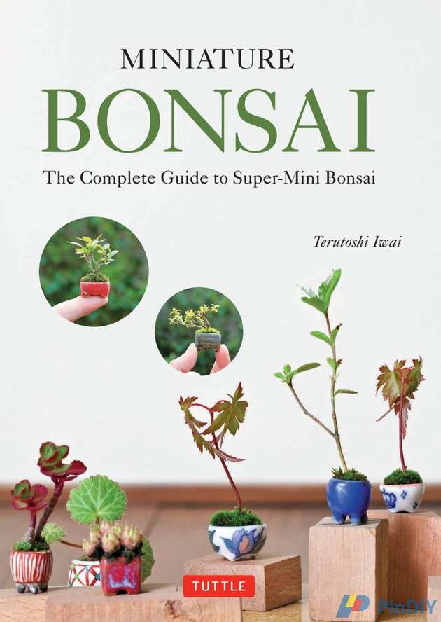 Miniature Bonsai.jpg