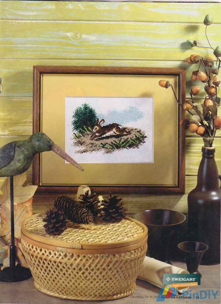pic5.jpg
