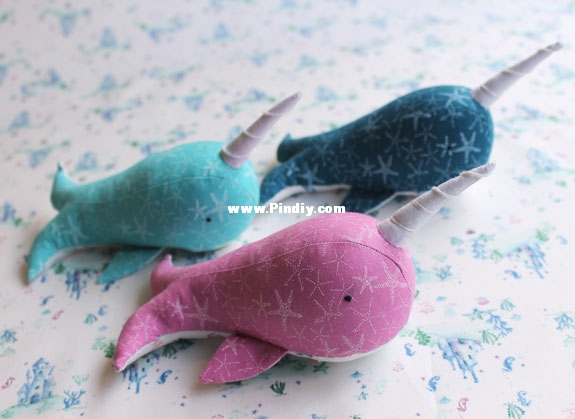 narwhal2-web.jpg