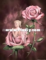 Mini Charmed Rose.jpg