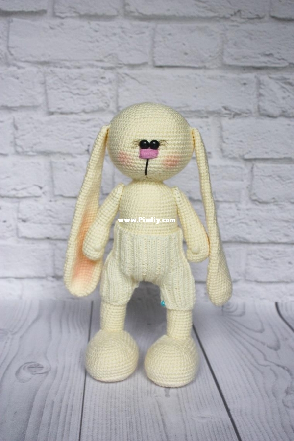 bunny.jpg