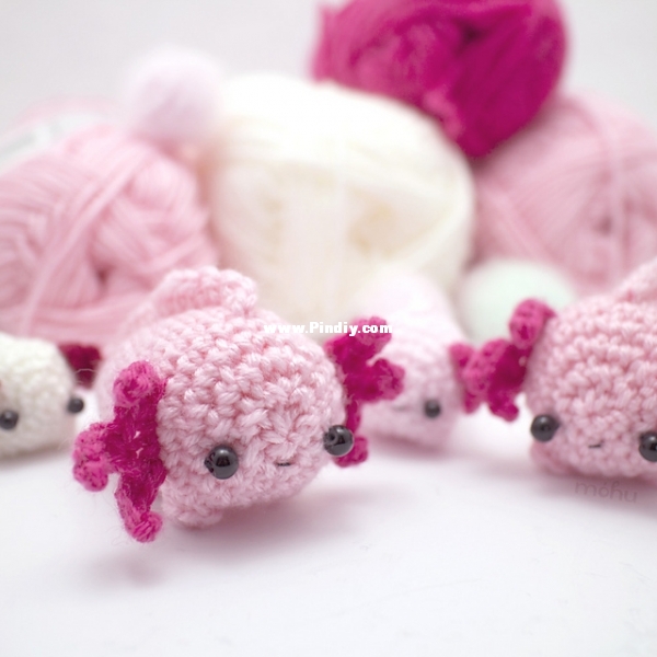 axolotl_1_medium2.jpg