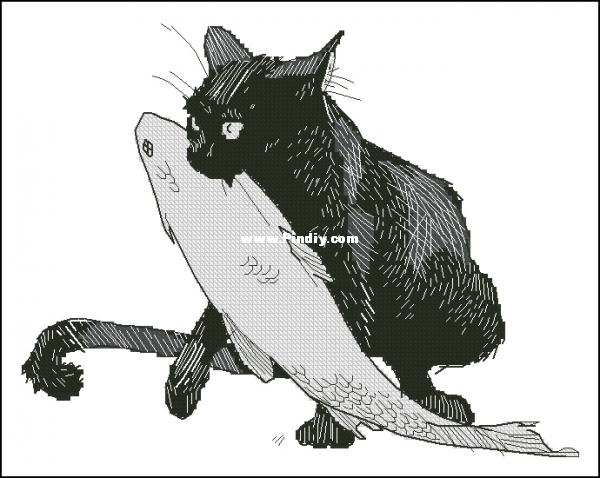 RTO M665 Among Black Cats.jpg