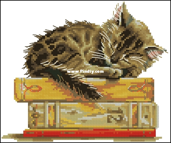 RTO M642 - Cat's Dream.jpg