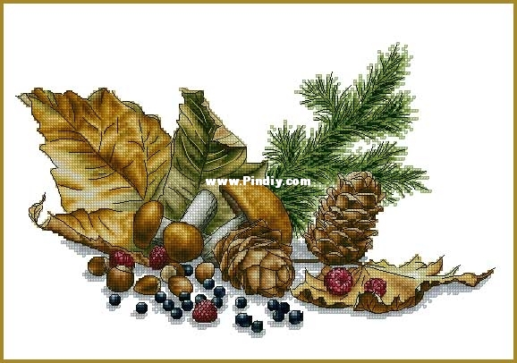 Lkacross-aromas-of-the-fore.jpg