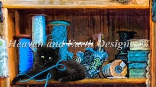 SS QS Kitty Heaven.jpg