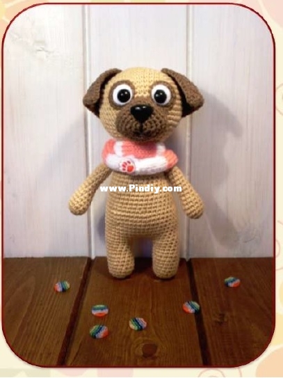 chien.jpg