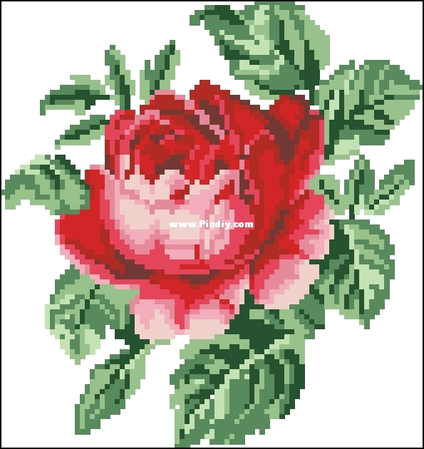 Rose Heart Pattern (2).jpg