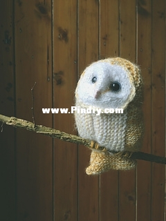 owl14_small2.jpg