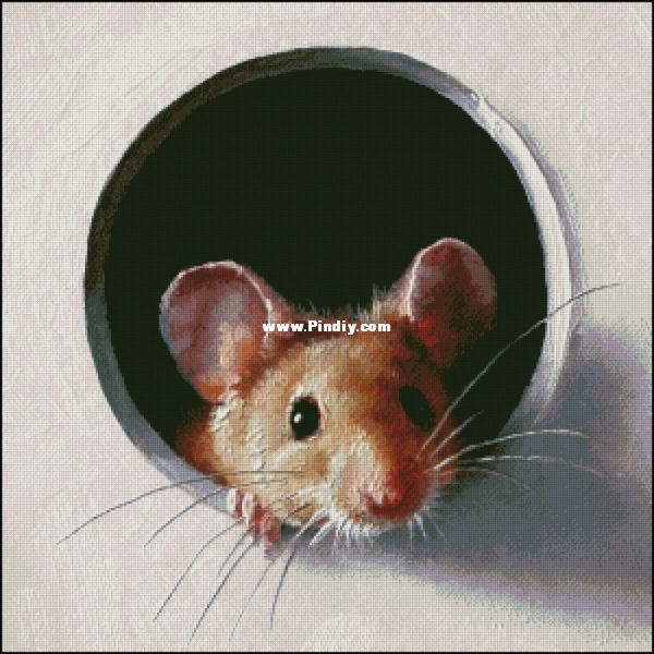 Mouse.jpg