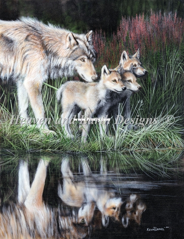 Mini Reflections.jpg