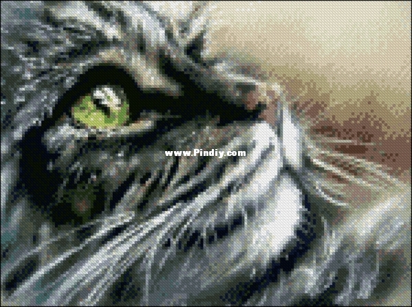 7 lives 2.jpg