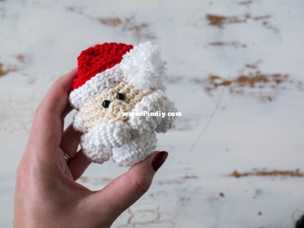 sewrella - ashley - santa ornament.jpg