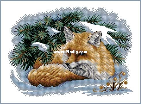Panna-893-Fox-in-Snow.jpg