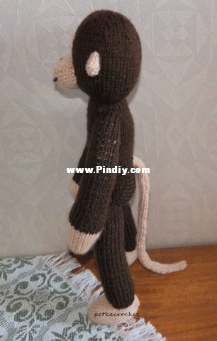 monkey.jpg