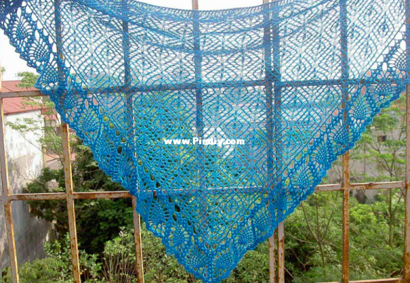 2010 November Shawl.png