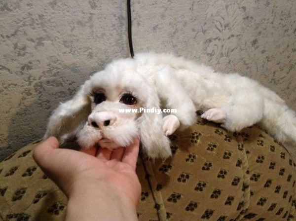 Falkor 