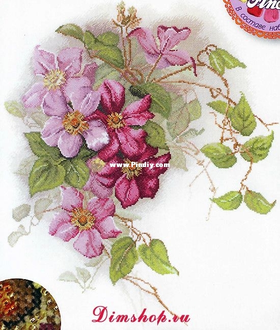 Marya Iskusnitsa - Mary Weaver 06.002.19 Clematis.jpeg