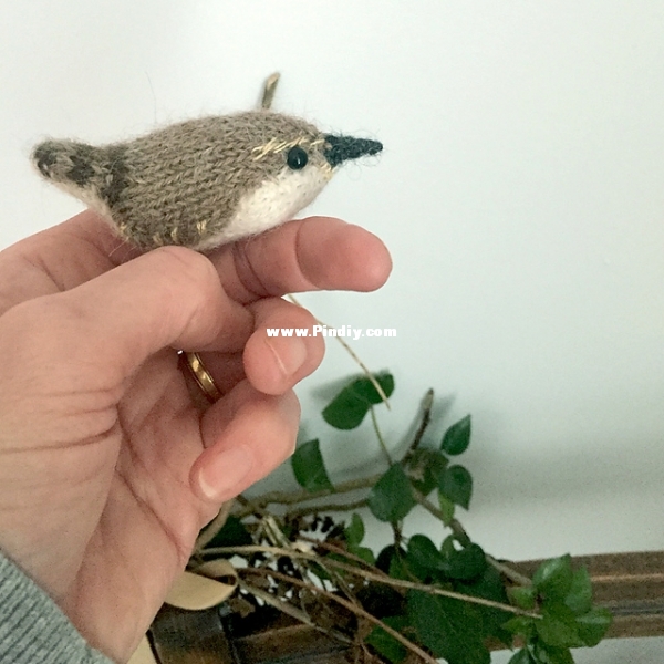 wrenrav1_medium2.jpg