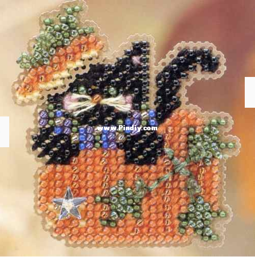 MH4H63 Black Kitty Magic.jpg