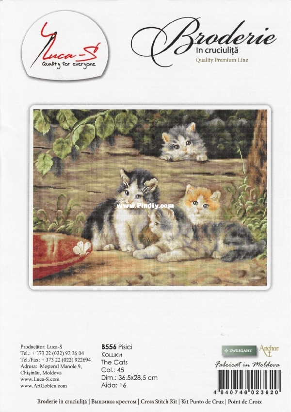 B556 The Cats.jpg