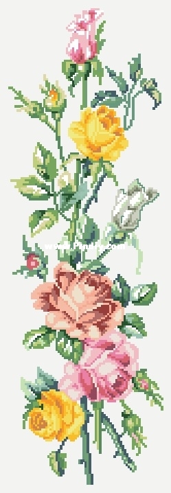 12-847 Roses (author of the color selection EvaRosa).jpg