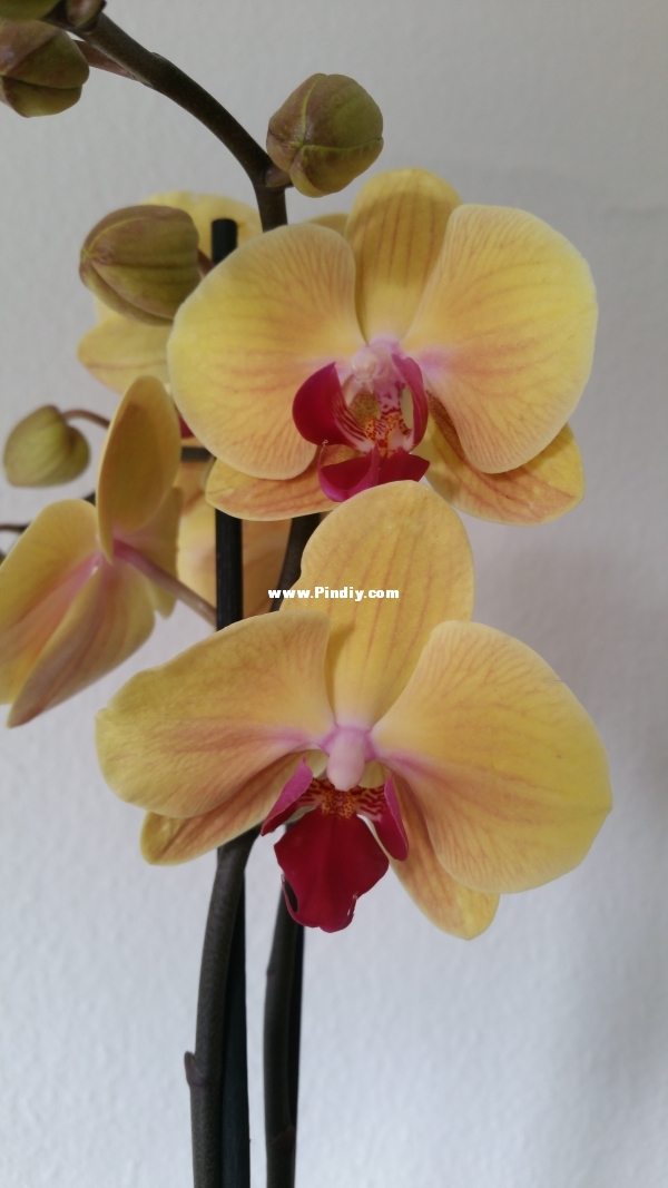 20151004_122536.jpg