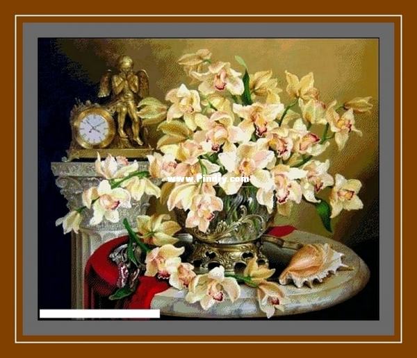 Orchids.jpg