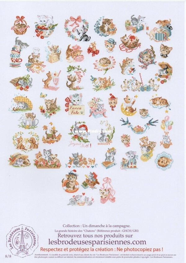 chatons.jpg