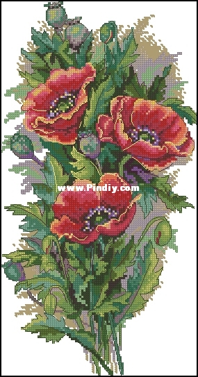 Merejka K-81_Vintage poppies.jpg
