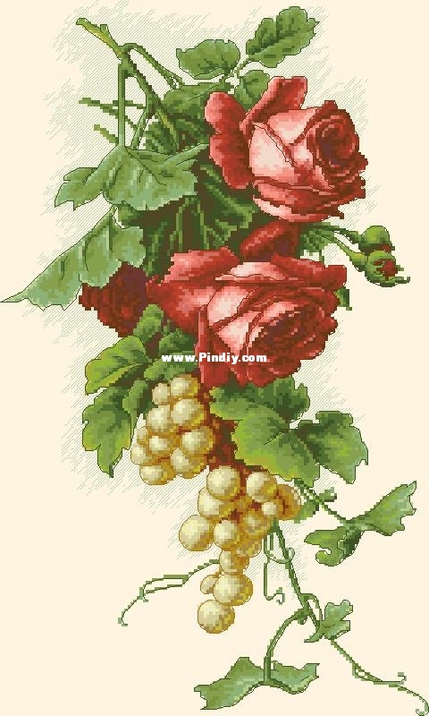 Lusas_b2229_xsd.jpg
