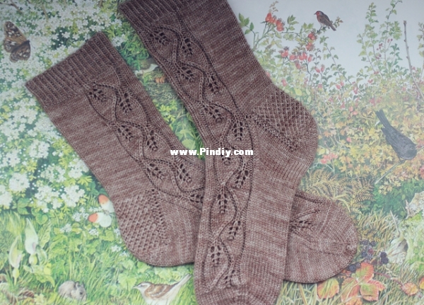 wwsocks.JPG