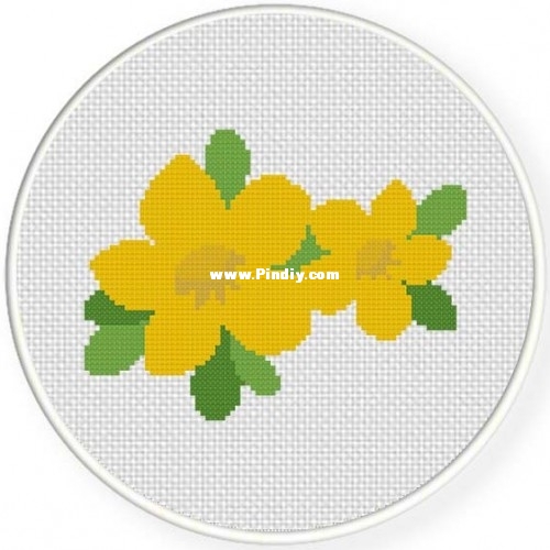 Allamanda.jpg