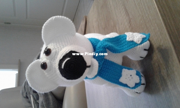 Ice bear